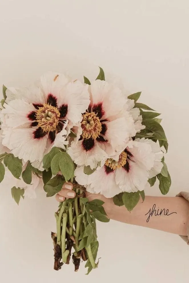 Words for A Season Temporary Tattoo